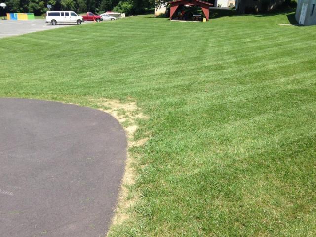 post-6085-0-14114100-1408223768_thumb.jp