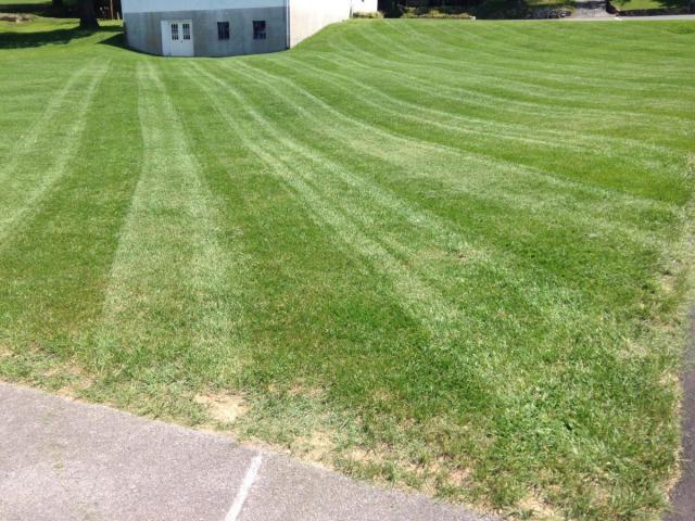 post-6085-0-15160700-1408223735_thumb.jp