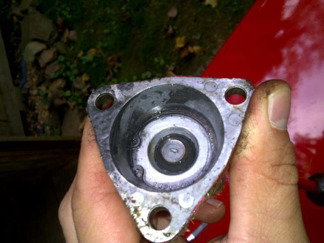 post-8428-0-81429500-1346798340_thumb.jp