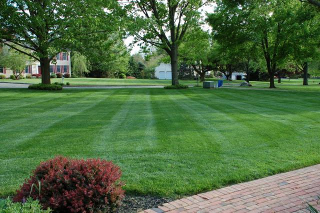 post-8464-0-17682500-1348659640_thumb.jp