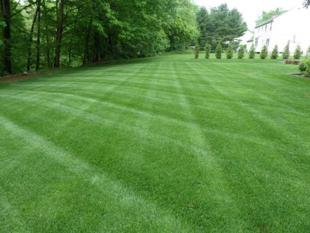 post-8464-0-97703400-1348659638_thumb.jp