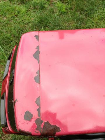 post-1339-0-82077000-1378229359_thumb.jp