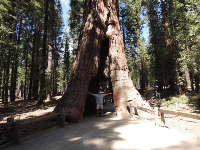 post-2221-0-77072900-1378424527_thumb.jp