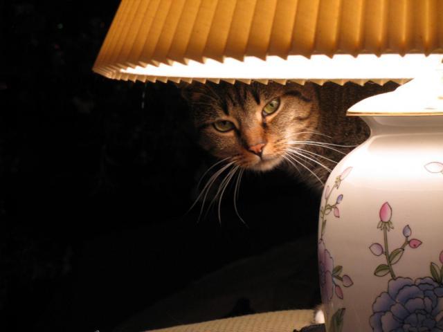 post-3498-0-32272900-1379326812_thumb.jp