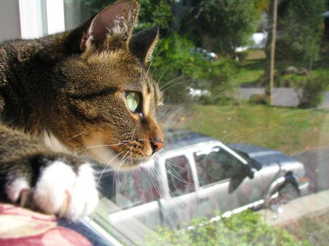 post-3498-0-75437900-1379161361_thumb.jp