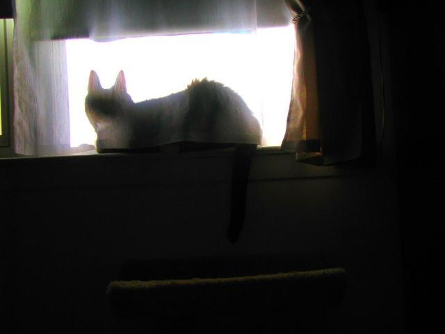 post-3498-0-82653500-1379163125_thumb.jp