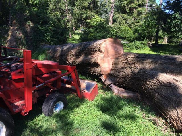 post-11966-0-40477900-1411906043_thumb.j