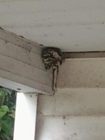 post-12671-0-09482900-1410196829_thumb.j