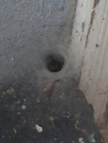 post-12671-0-19875400-1410196814_thumb.j