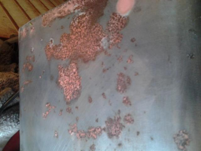 post-12671-0-23847400-1409966748_thumb.j