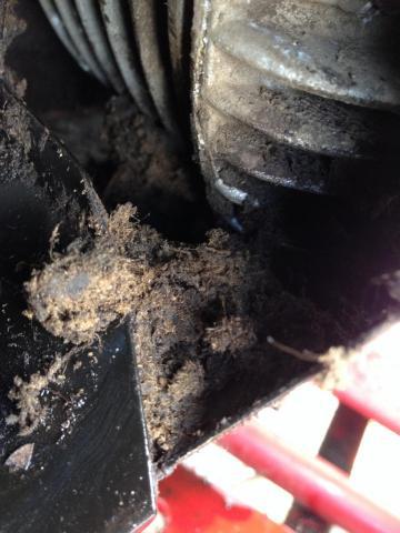 post-1339-0-61012100-1409595338_thumb.jp