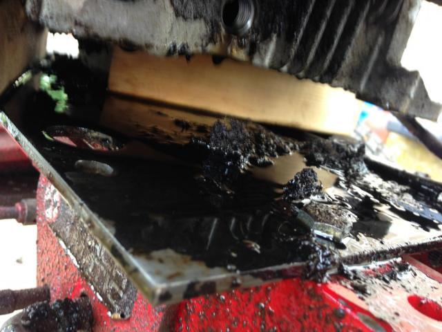 post-1339-0-96528200-1409595386_thumb.jp