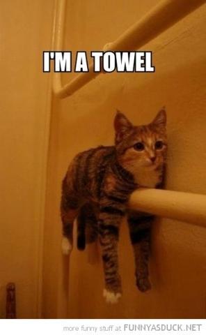 post-13404-0-12954800-1411083215_thumb.j