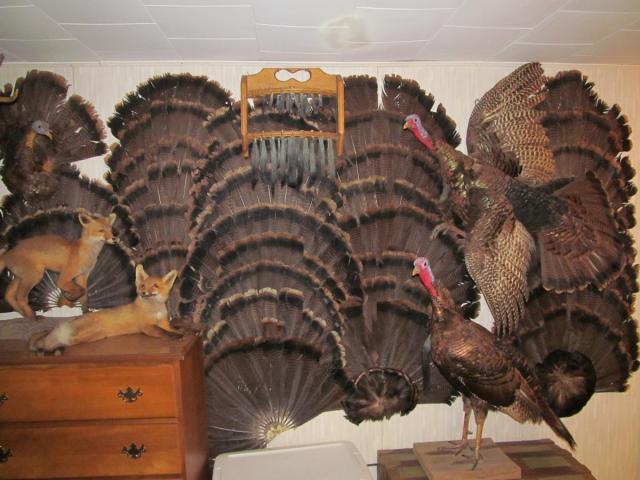 post-7208-0-88869700-1411046823_thumb.jp