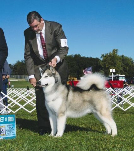 post-2221-0-23120100-1349785072_thumb.jp