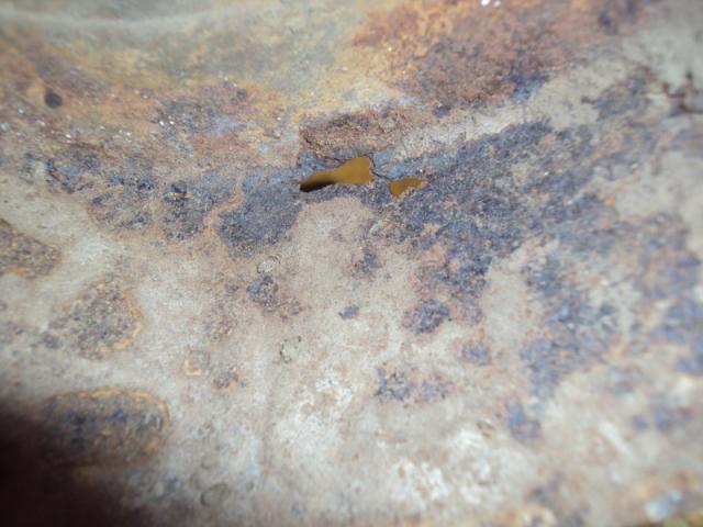 post-6076-0-56295400-1350782904_thumb.jp