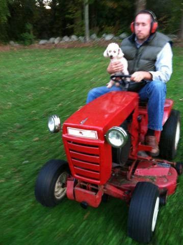 post-7038-0-11075900-1349135030_thumb.jp