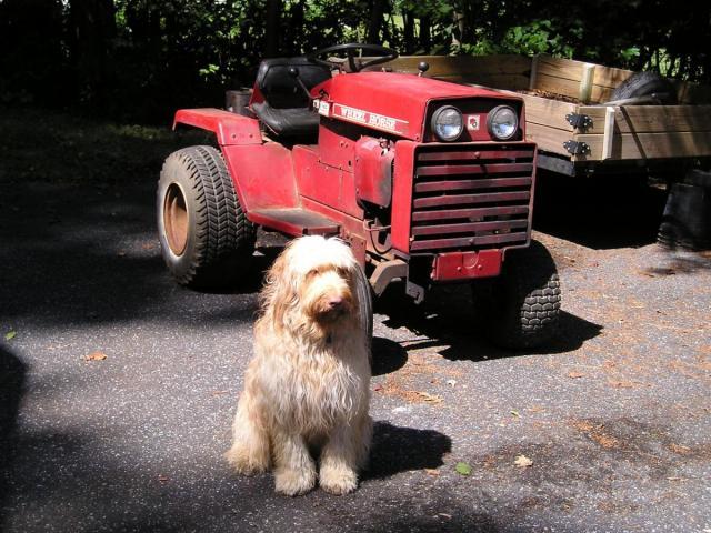 post-1933-0-78148700-1381098545_thumb.jp