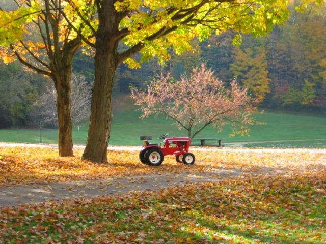 post-4137-0-73644400-1383064472_thumb.jp