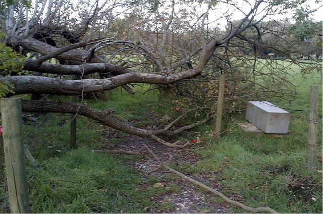 post-4509-0-01243400-1383082734_thumb.jp