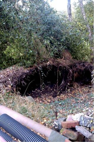 post-4509-0-19891600-1383083326_thumb.jp