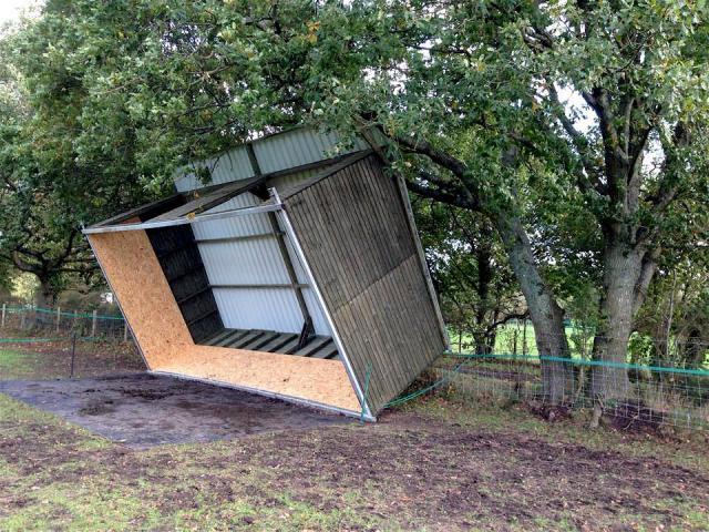 post-4509-0-39760800-1383080153_thumb.jp