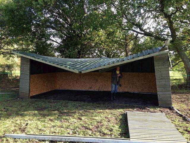 post-4509-0-40668900-1383080865_thumb.jp