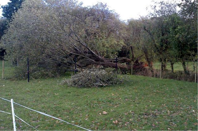 post-4509-0-51618600-1383082769_thumb.jp