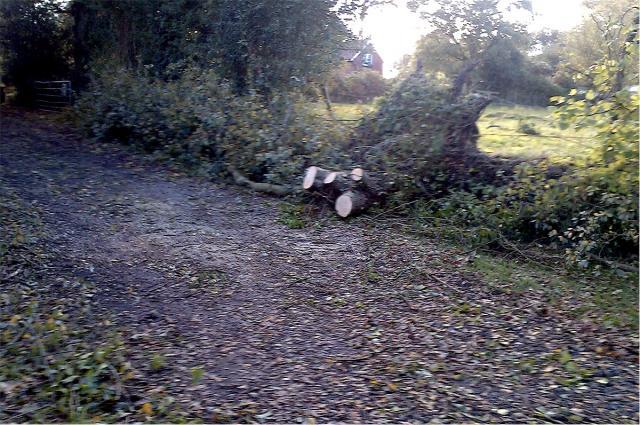 post-4509-0-64896500-1383079913_thumb.jp