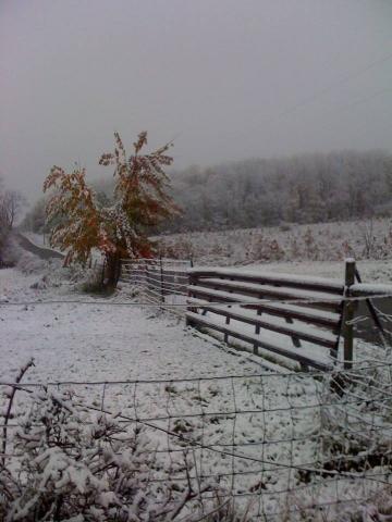 post-5271-0-09240700-1382573110_thumb.jp