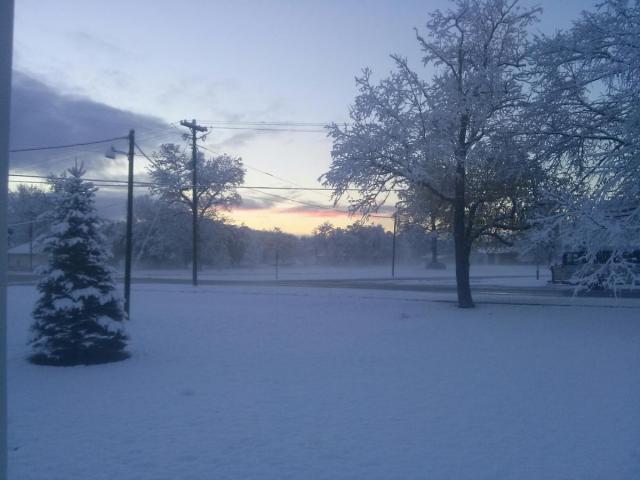 post-6649-0-04097800-1382572016_thumb.jp