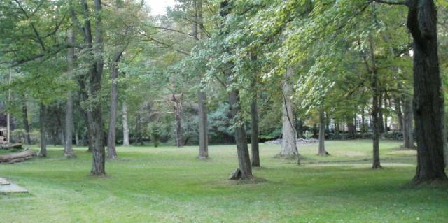 post-7287-0-11804300-1382474166_thumb.jp