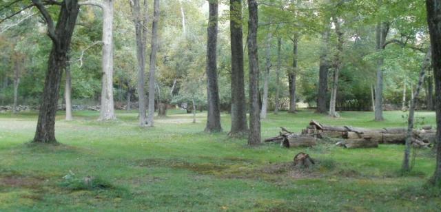 post-7287-0-14335900-1382474191_thumb.jp