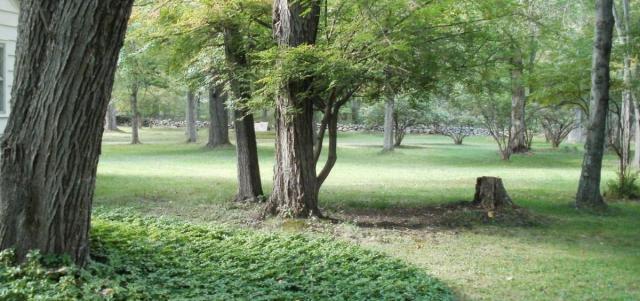 post-7287-0-68574800-1382474104_thumb.jp