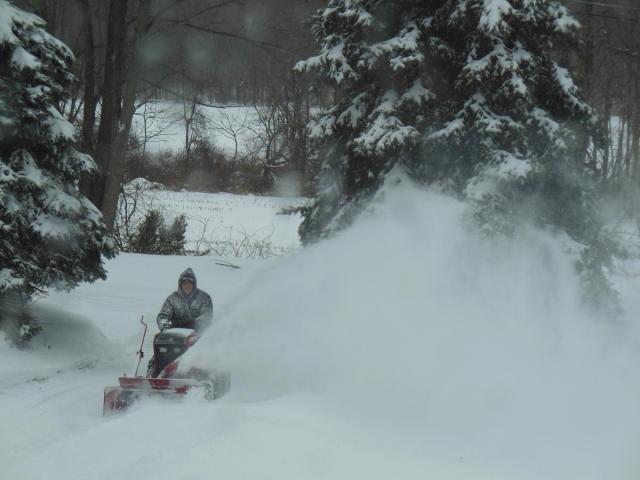 post-12306-0-00159100-1414541198_thumb.j