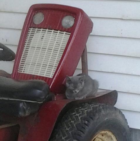 post-12671-0-20771600-1414187140_thumb.j