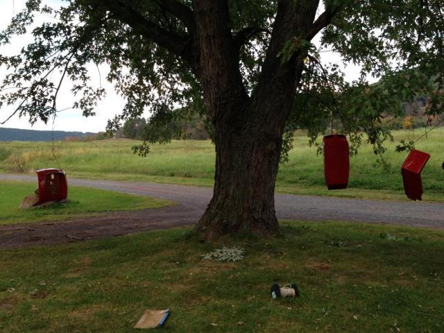 post-1339-0-57767700-1412550441_thumb.jp