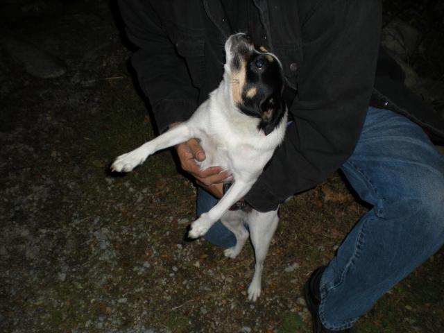 post-13404-0-29492500-1414081685_thumb.j