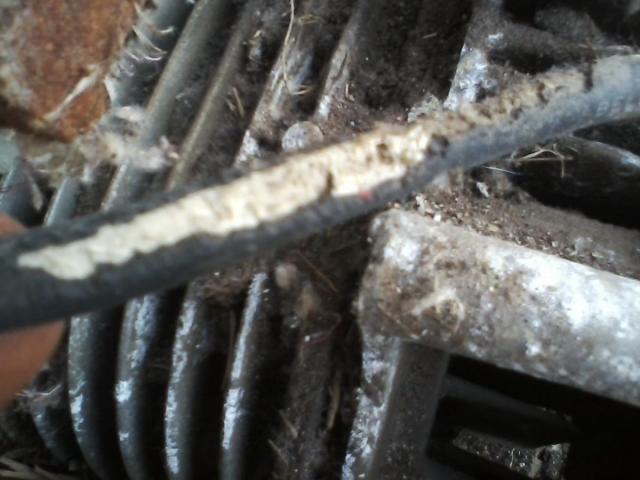 post-14087-0-54679300-1413755406_thumb.j