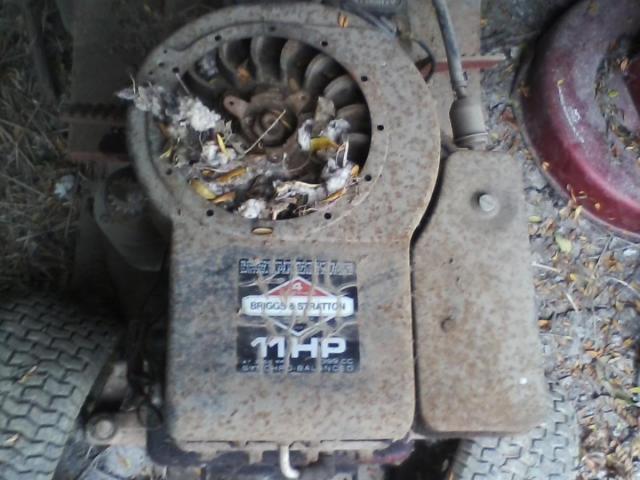 post-14087-0-68288900-1413656676_thumb.j