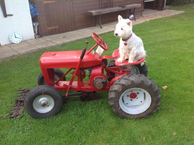 post-2119-0-57702300-1414477899_thumb.jp