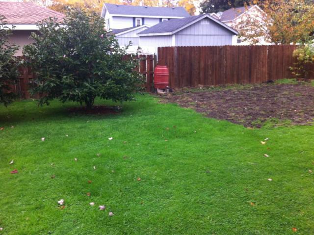 post-2380-0-52370500-1413663567_thumb.jp