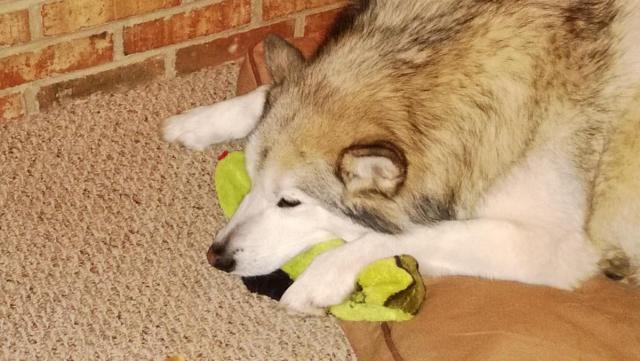 post-3066-0-17054100-1413317757_thumb.jp