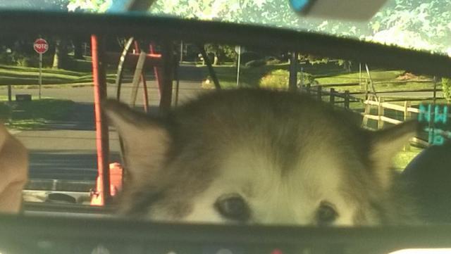 post-3066-0-19396900-1412800822_thumb.jp