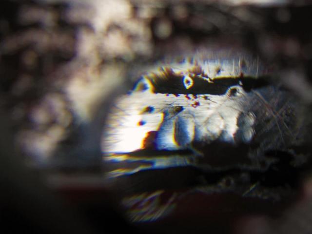 post-3498-0-18024500-1413751747_thumb.jp