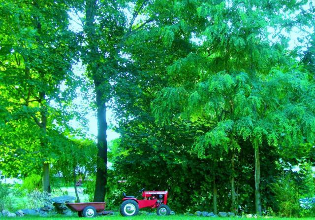 post-3498-0-34793400-1414463669_thumb.jp