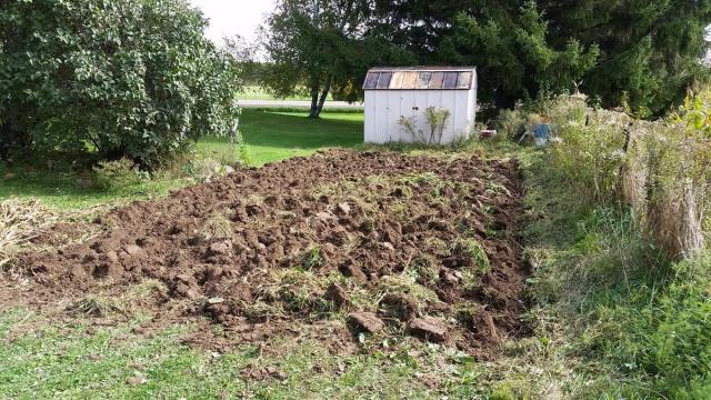 post-5643-0-46730000-1412526489_thumb.jp