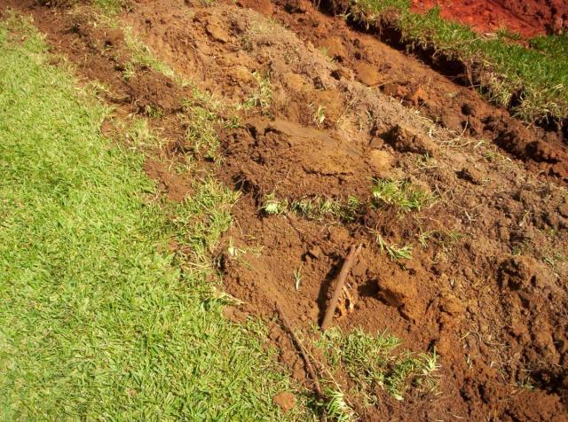 post-8388-0-88381200-1412790229_thumb.jp