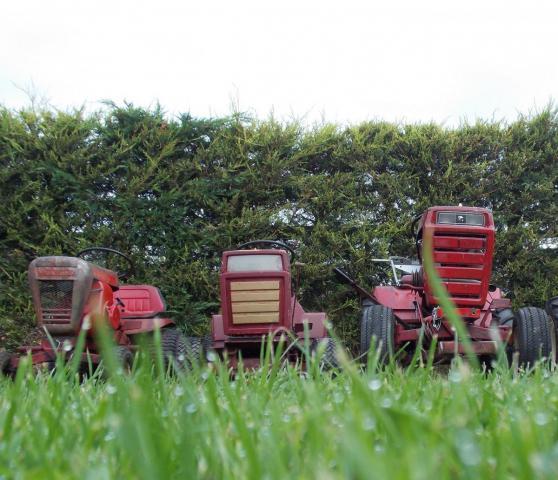 post-9595-0-87929200-1414482996_thumb.jp