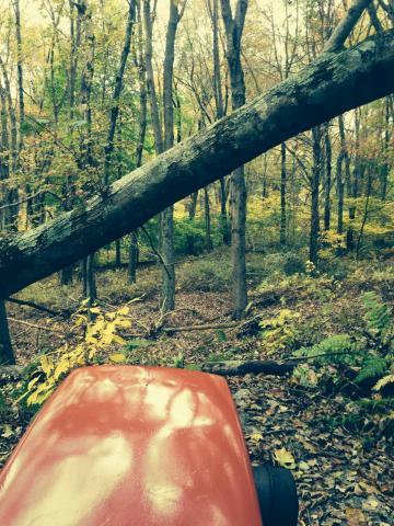 post-9836-0-01044500-1413662900_thumb.jp